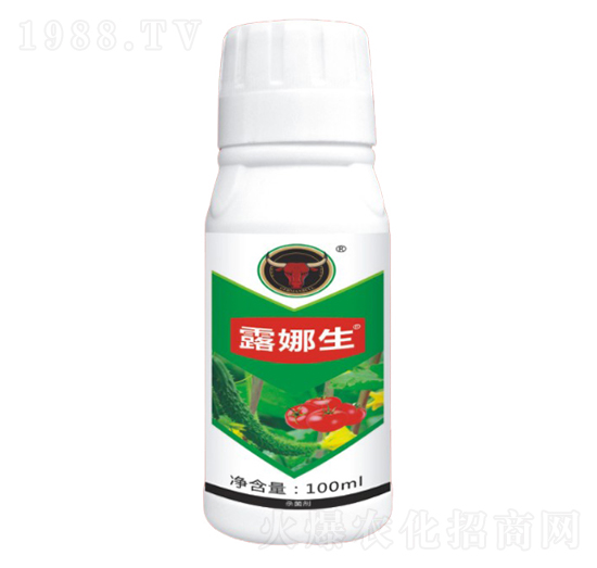 �����(x��)������-¶����-��ţ���H