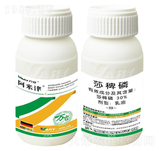 30%ɯ����-���׽�-�f��