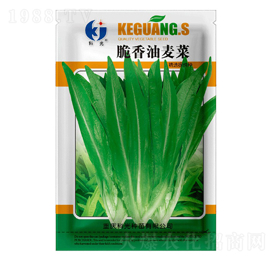 ����������-�ƹ�N��