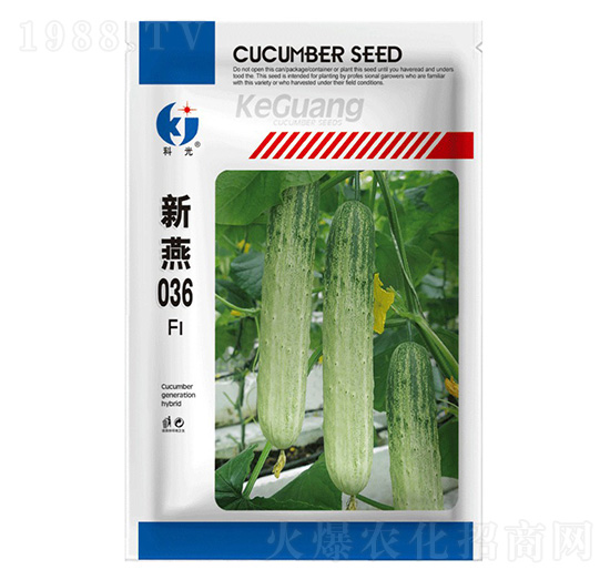 ����036-�ƹ�N��