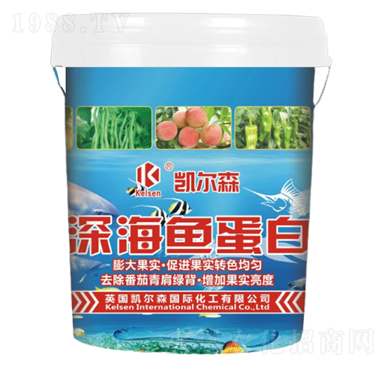 ��~����-�P��ɭ-����Ƽ�