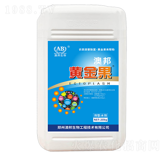 �S���-�İ�����