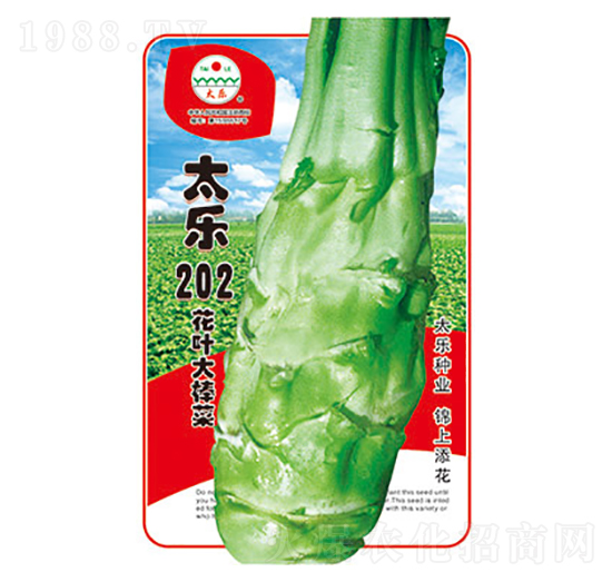 ���˷N��-̫��(l��)202-̫��(l��)�N�I(y��)