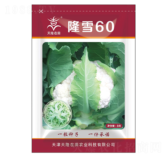 ¡ѩ60-��¡����-��¡�r(n��ng)�I(y��)