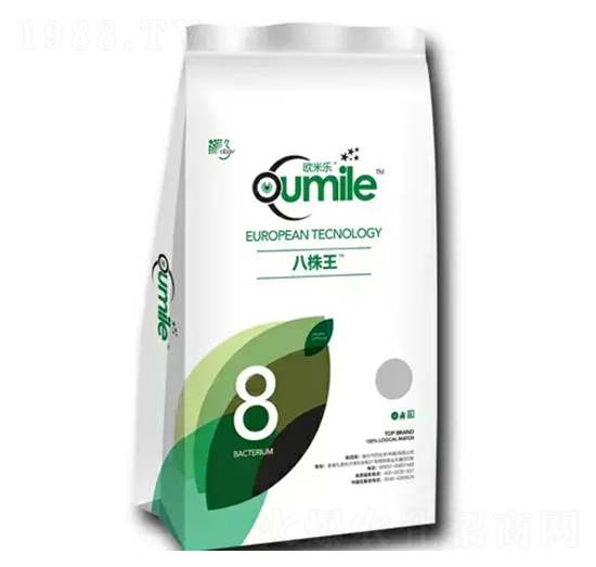 ������-�W�ט�(l��)-�̶�����