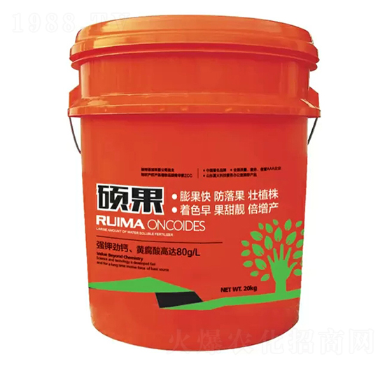 �T���_ʩ��-�̶�����