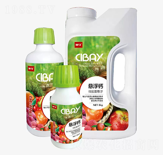 ΢�z�ґҸ��}-�̶�����