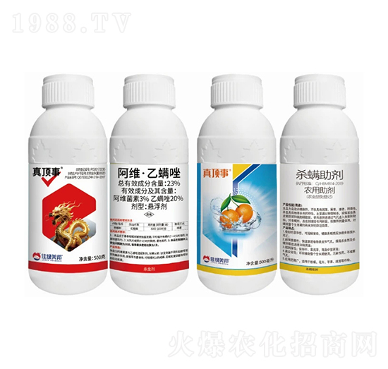 ���Լt��֩���Q����-�����