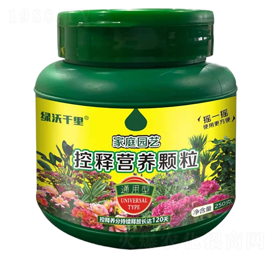 ͨ���ͼ�ͥ�@ˇ��ጠI(y��ng)�B(y��ng)�w��-�G��ǧ��-�G�ַʘI(y��)