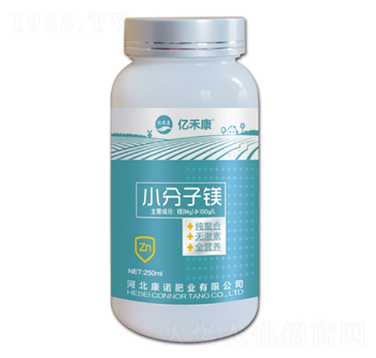 С�����V-�|�̿�-���Z�ʘI(y��)