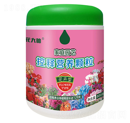 800�˻����ͼ�ͥ�@ˇ��ጠI(y��ng)�B(y��ng)�w��-����-�G�ַʘI(y��)