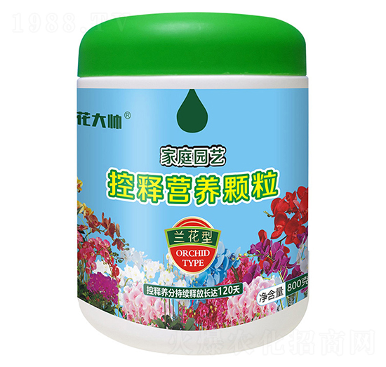 800���m���ͼ�ͥ�@ˇ��ጠI�B(y��ng)�w��-����-�G�ַʘI(y��)