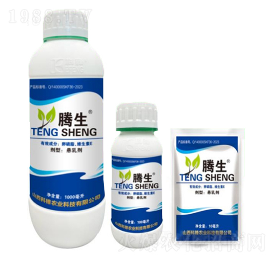 ����֬���S����E-�v��-�õ���