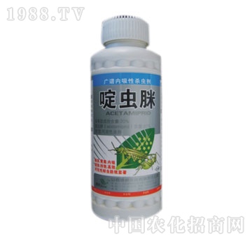 ��������-��x��