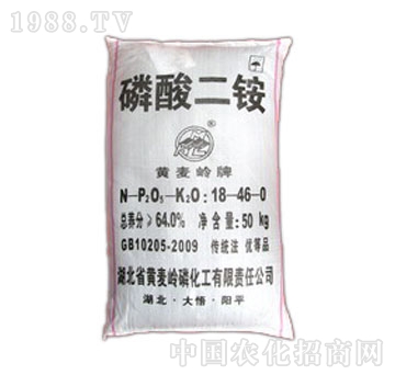 �S���X��-������@��ɫ�b