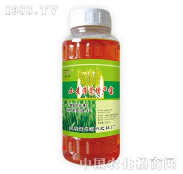 ����-С�����{���a(ch��n)��