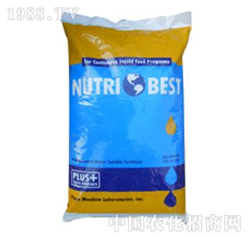 ���֐�(��i)ؐ˹��-�R��˹��20-20-20+TE