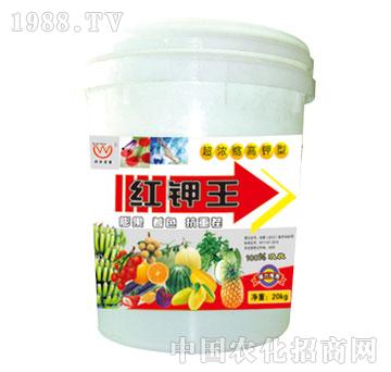 ��(r��n)��-�t���