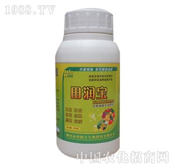 ���-���250gƿ�b