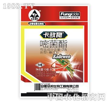 ����-������(w��n)-�׾���