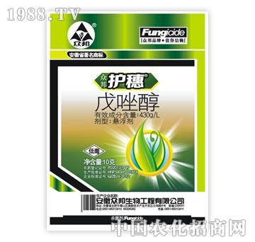 ����-�o��-����