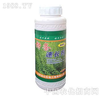 ��ɽ����-���l���L(zh��ng)��