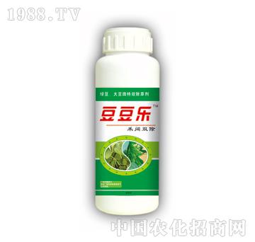 ����p��-������(l��)-̩�(y��ng)