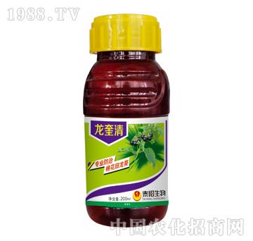 ������-̩�