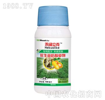 �������-̩�