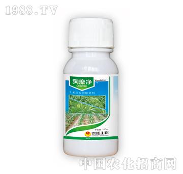 ���Ӄ�-̩�(y��ng)