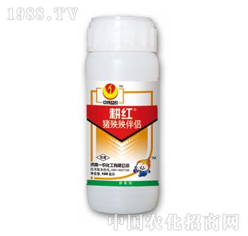 ���t�i�����H-̩�