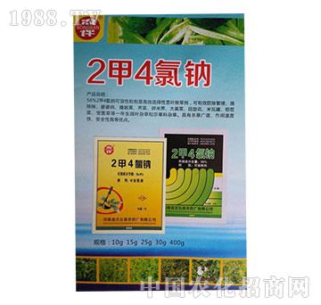 56%2��4���c-����