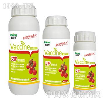 ���o(h��)ֲ�����緬�ь�(zhu��n)��-�J�~��