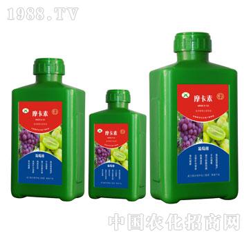 ���ь��ð���������Һ��