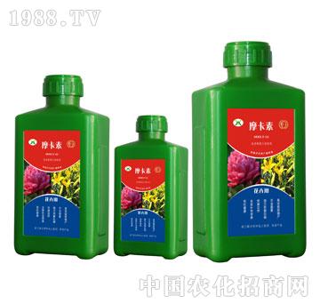 ���܌��ð���������Һ��