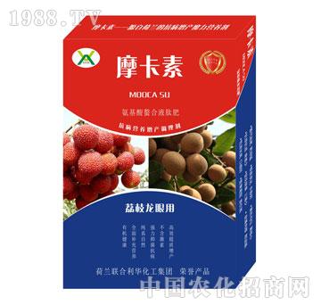 ��֦���ی��ð���������