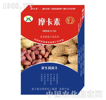 �����C�C�S����������Һ�ķ�-Ħ����-��о���H