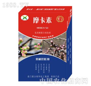 ����������ð���������