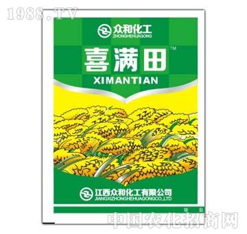 10%�p����-ϲ�M��-����