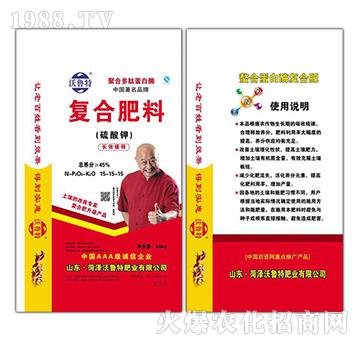 �L(zh��ng)Ч��ጏ�(f��)�Ϸ�15-15-15-������