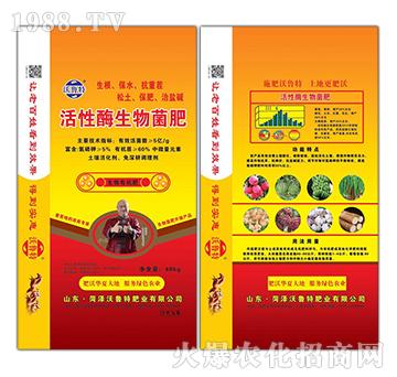 ����ø�������-������