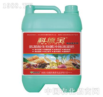 ���K�o���ð����������