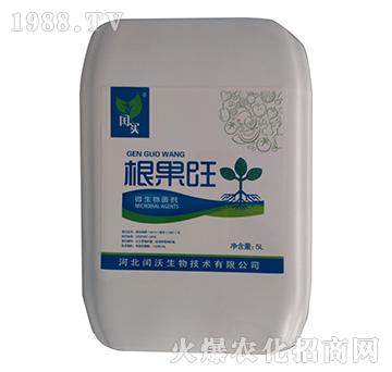 ΢�������-������-�c��