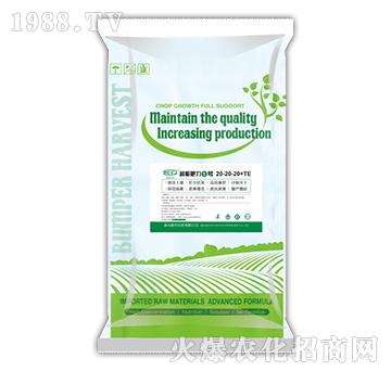 ����Ԫ��ˮ�ܷ���20-20-20+TE-���ܷ���1̖(h��o)-�Մ�(chu��ng)