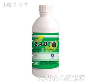 72%2��4�ζ���-�G��