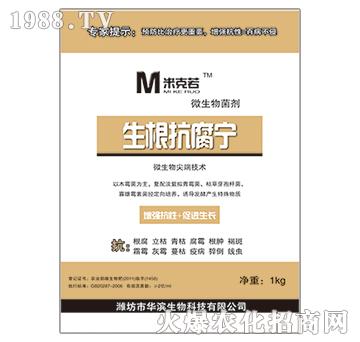 ����������-�A�I