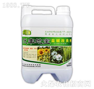 ���S�،����}�A��������-���S¡-��(qi��ng)