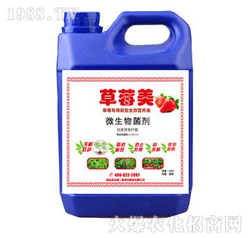 ��ݮ��-��ݮ����΢�������-�읙����