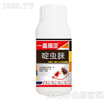 5%��x��-һ�w�㶨-�읙(r��n)����