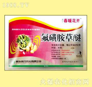 ���ǰ�����-��ů���_(k��i)-嫘�(l��)��